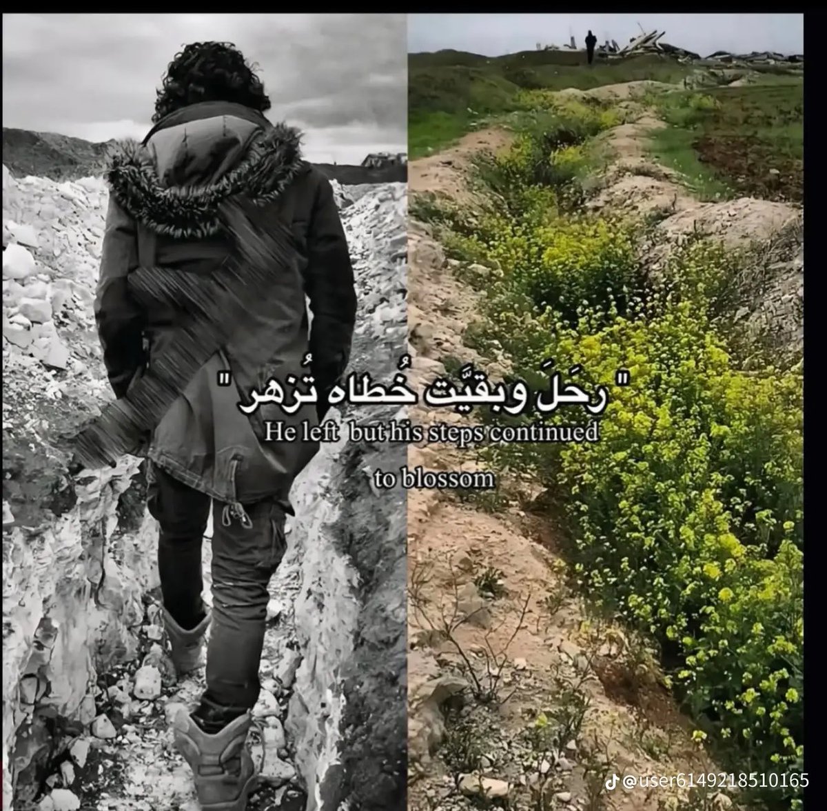 عمر مدنيه tweet media