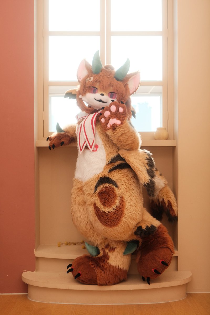 #FursuitEveryday 
 (´∀`*)ノ