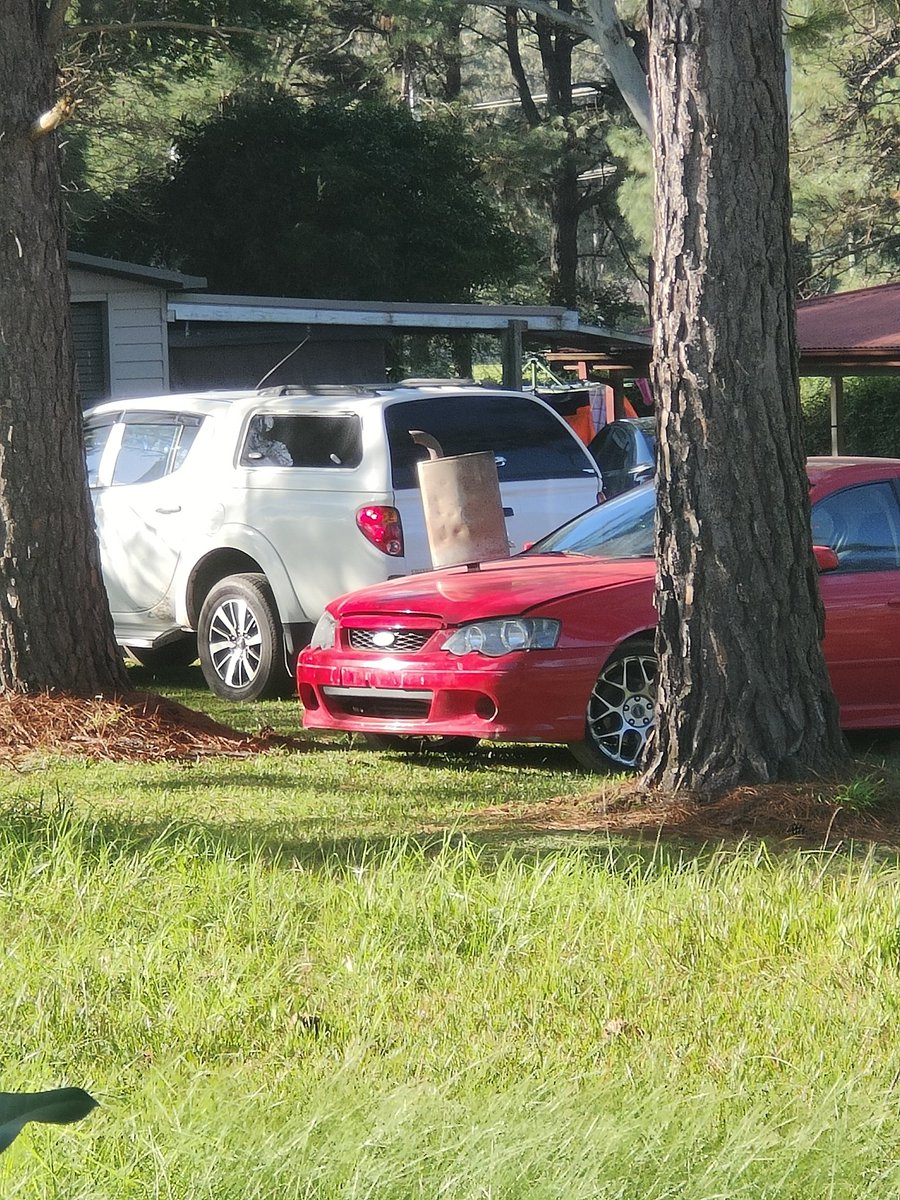 MiloFox 🍂 tweet media