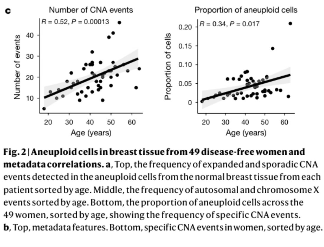 extremely interesting data showing how ~3% of normal breast cells have chromosomal abnormalities resembling cancer - increasing with age. 

most people are not aware that no researcher knows what the exact border between cancer &amp; normal tissue is, when normal ends &amp; cancer starts