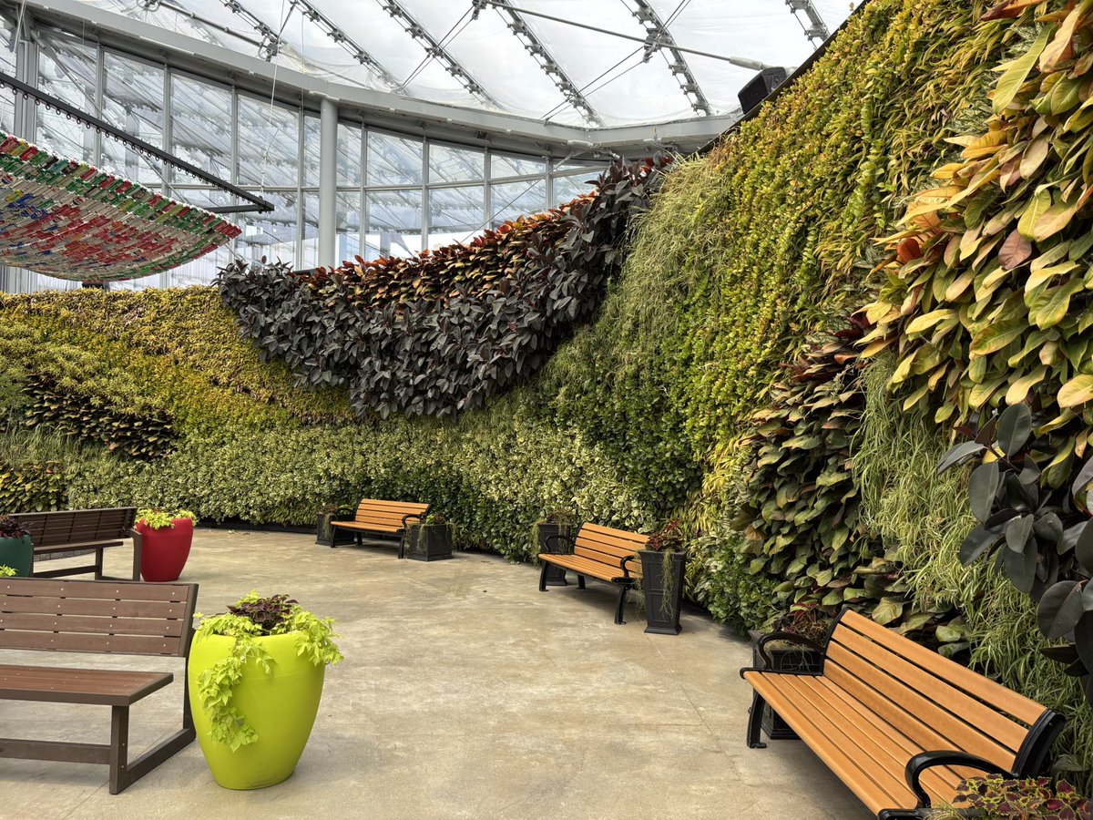 SourWoodChip's tweet photo. Went and looked at some plants today https://t.co/UP6lbKhGOv