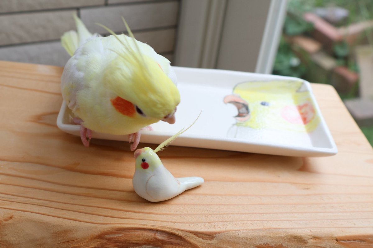 【しょん】ことりのお食事処 ことりのレストラン - Search / X