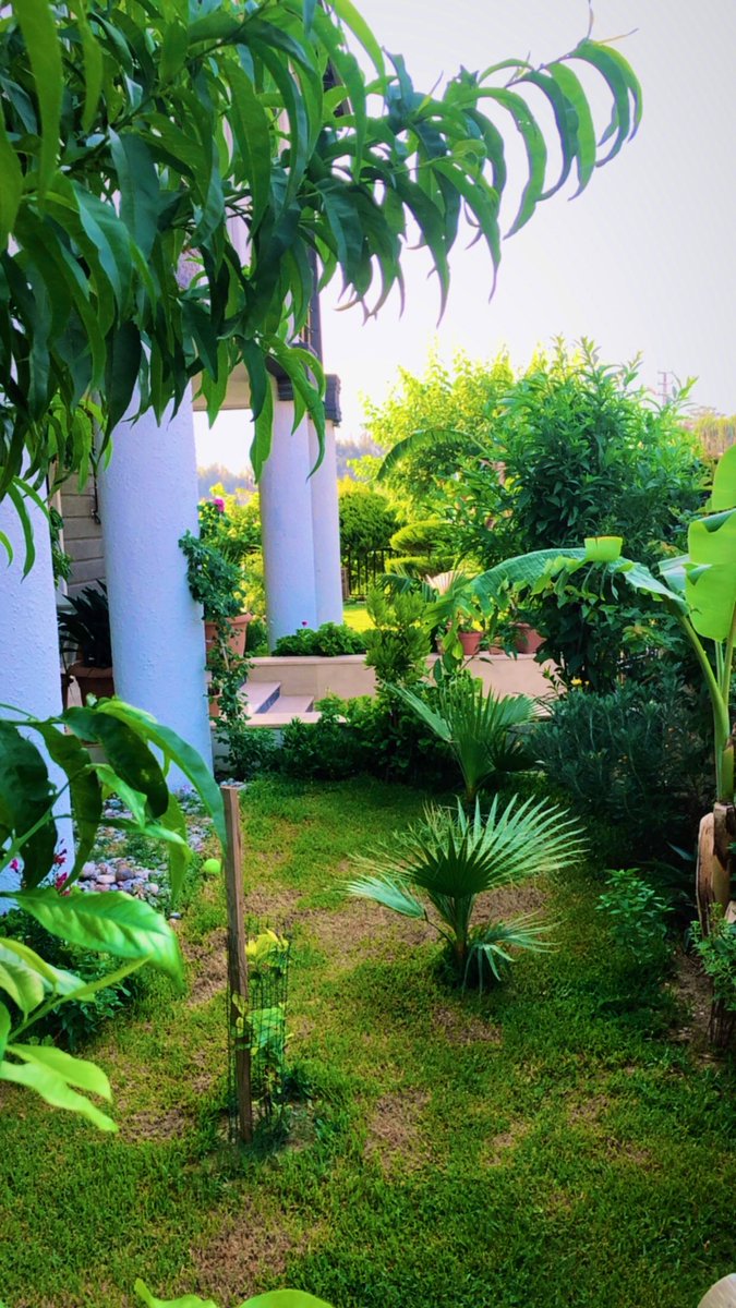 Sevgitasss's tweet image. Saf serotonin
 en güzel huzur köşem…
#mysweethome