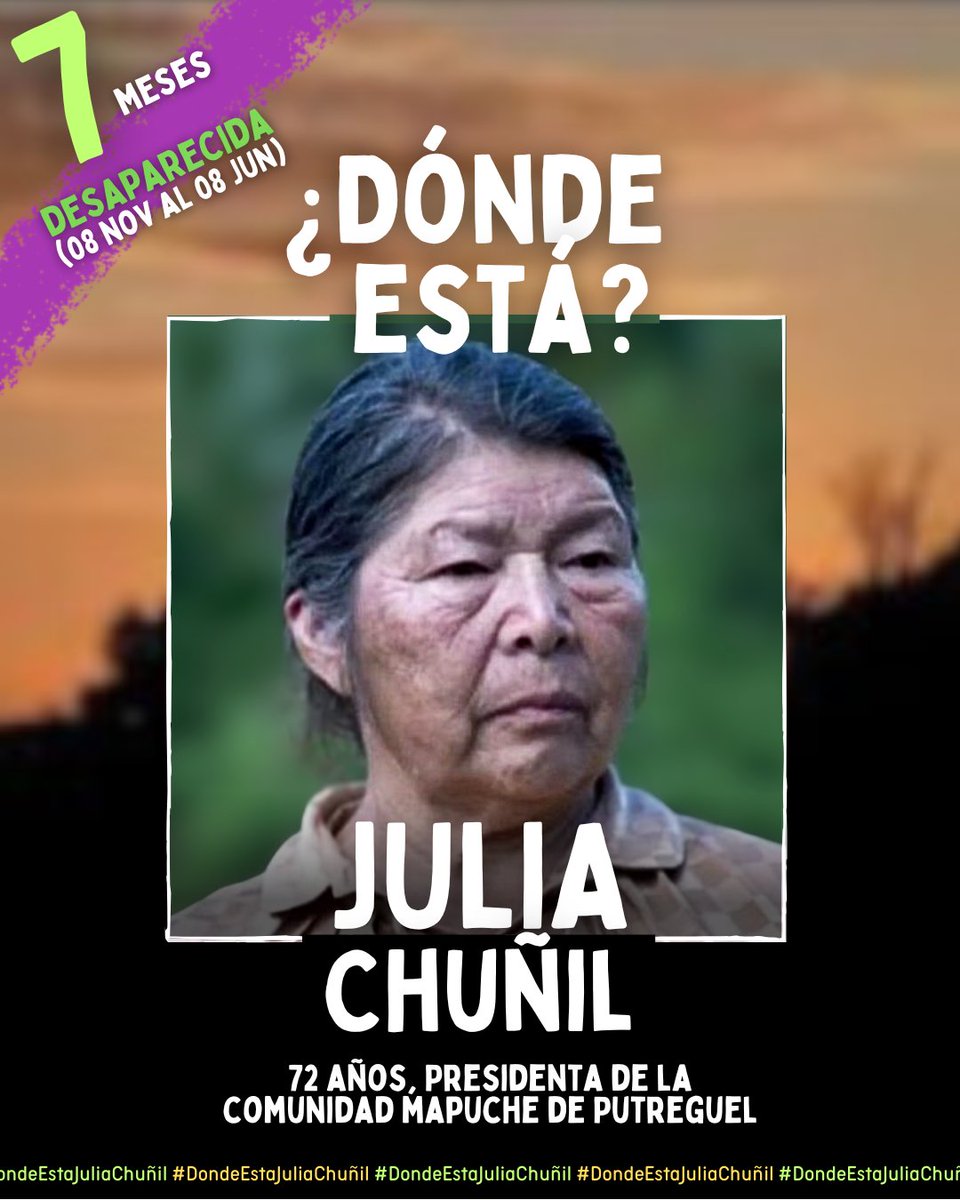 Comuni_CAOS's tweet photo. 7 MESES
#DondeestaJuliaChunil https://t.co/BEaePbRX2d