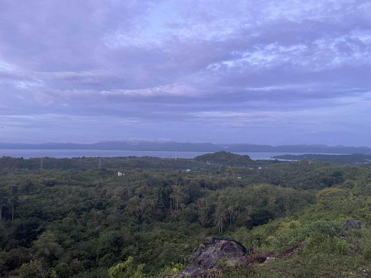 Muhamadsuala219's tweet photo. Rayuan pulau jati 
📍 Muna island https://t.co/fGuxsUFUg2