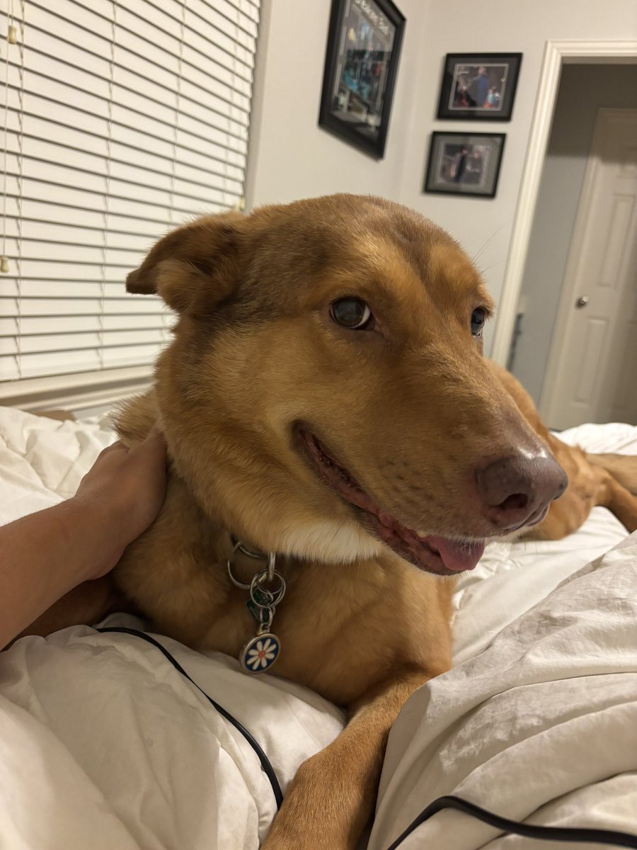 I’m being assaulted by a wild beast