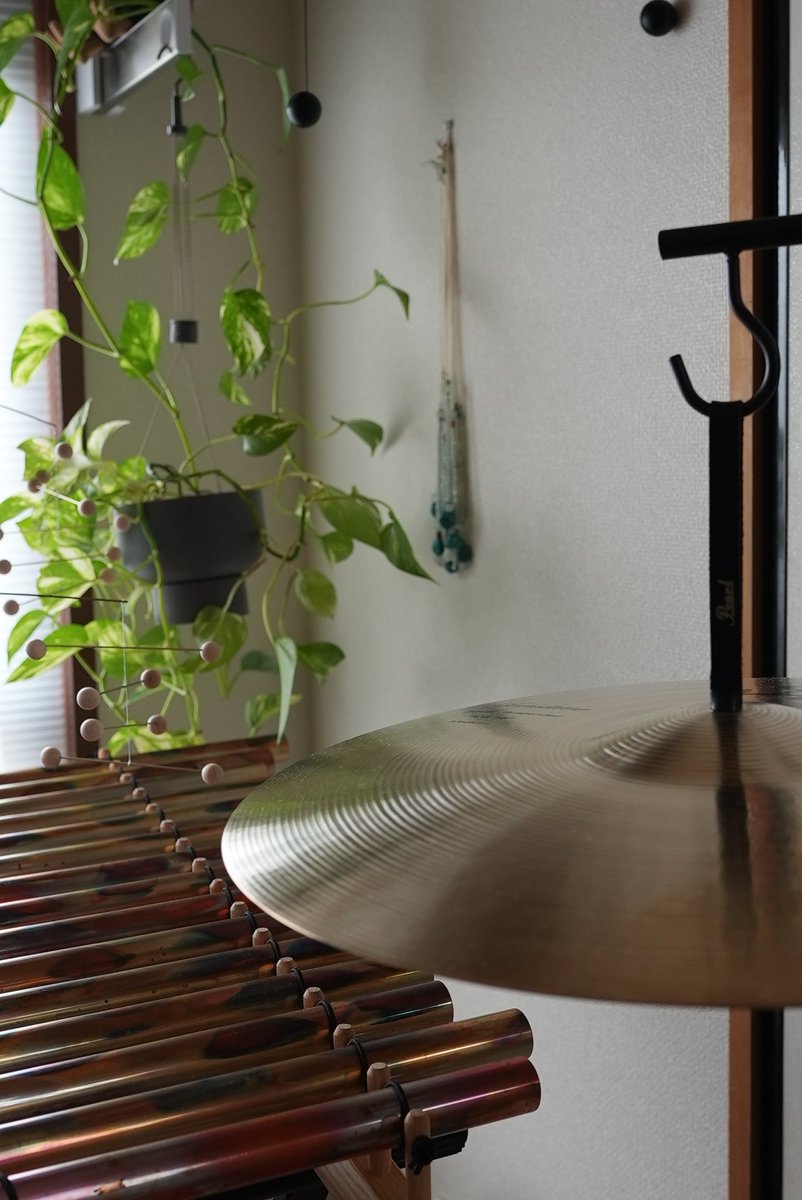 Kazuma Okabayashi༄ (@okbyskzm) on Twitter photo 