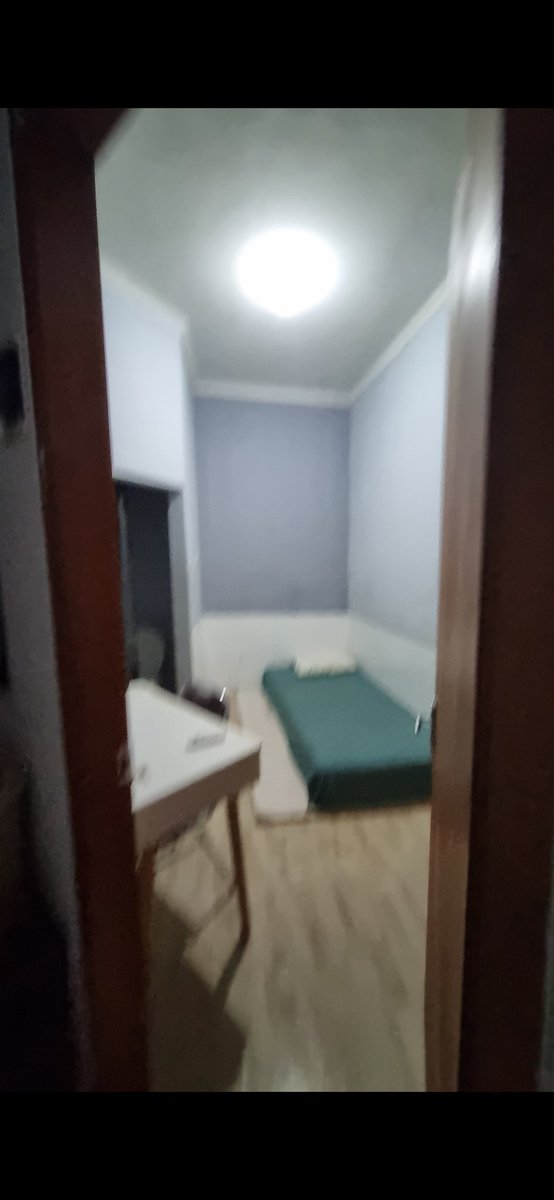 アルデイ🍉🍉 tweet media