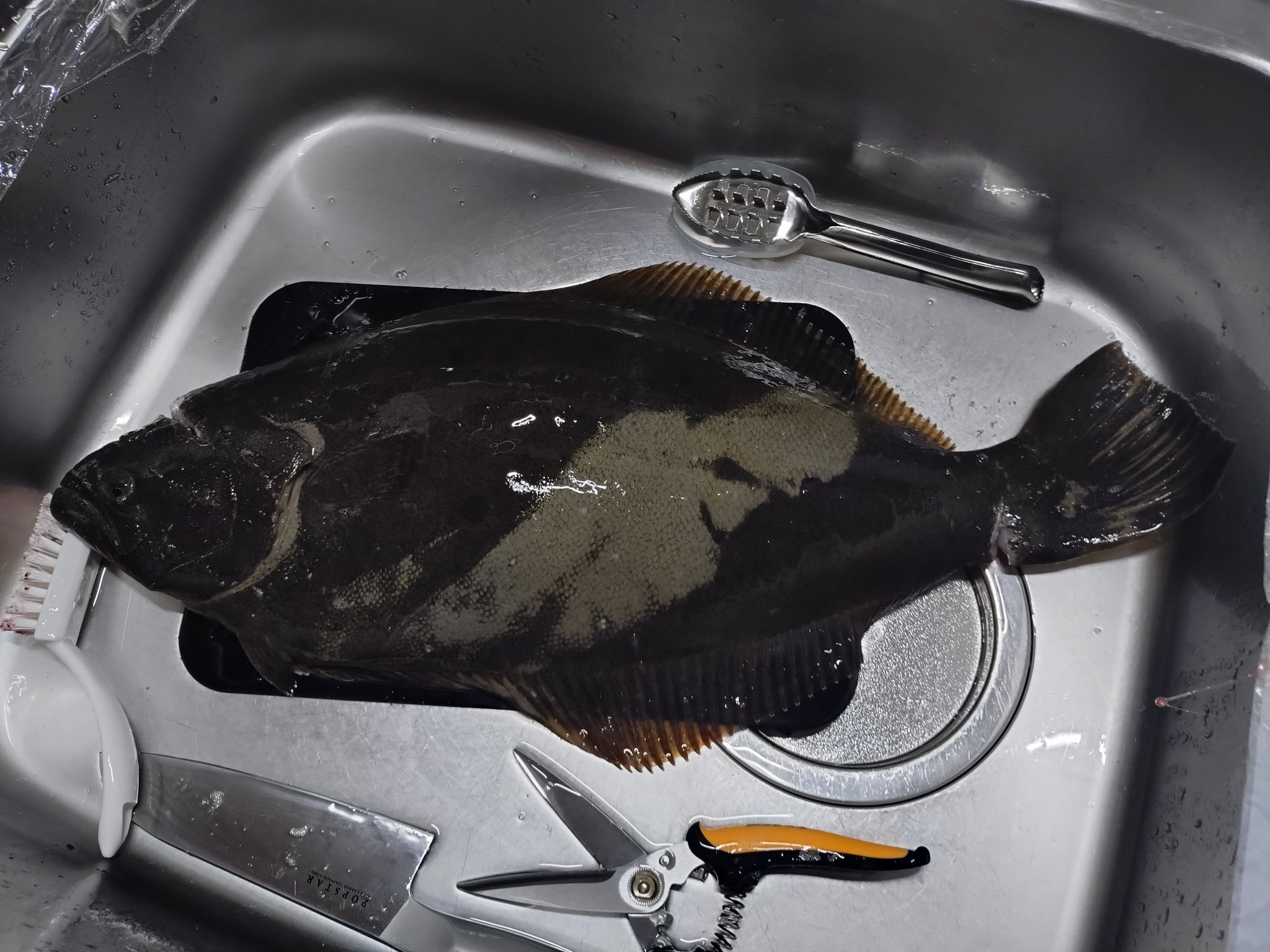 たけ@ZX-14R-DAIWA (@take_zx_14r) / X