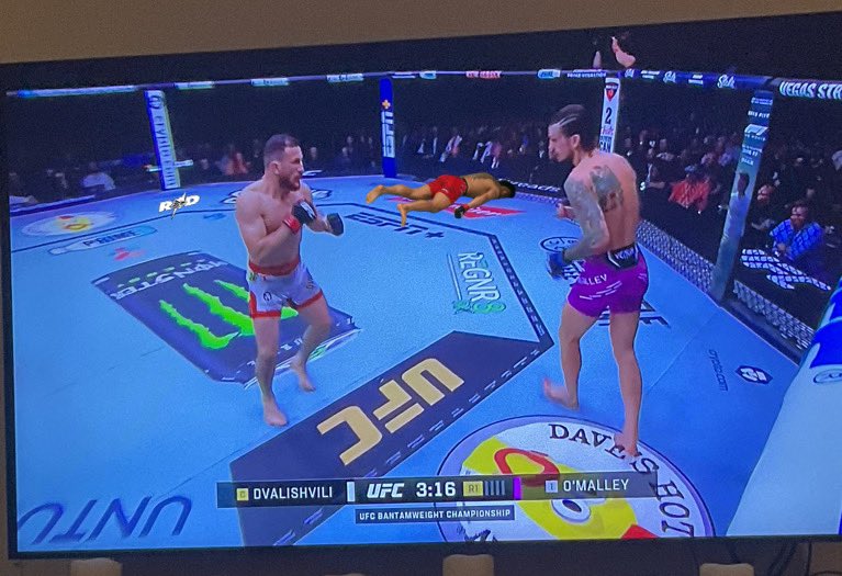 rick_doobs's tweet image. I can’t believe they left  Jeka Saragih in the cage the whole night.  🤦‍♂️ #UFC316