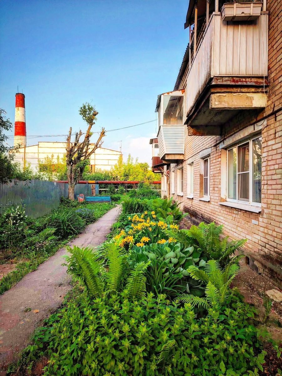 фото прислал пользователь с ником Moscow Region