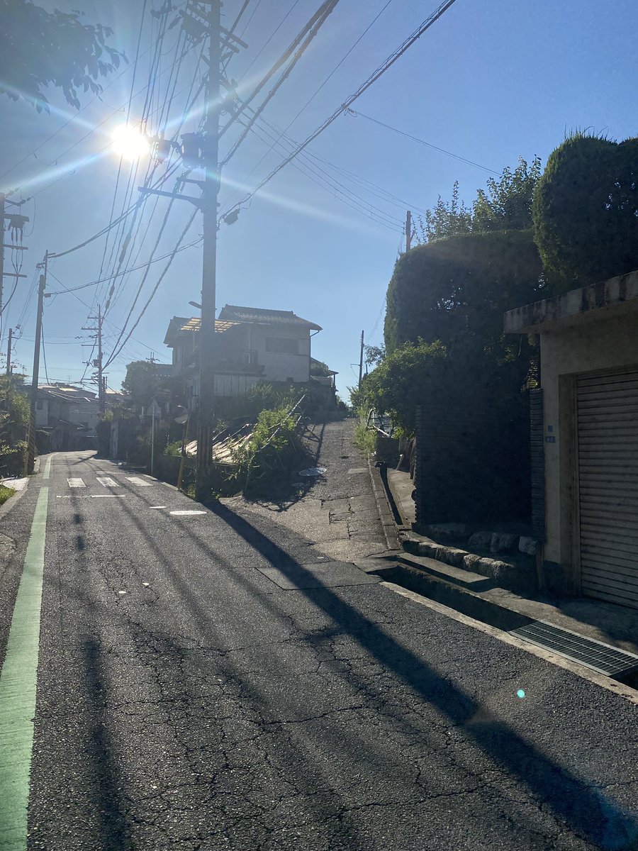 iiroji_bot's tweet image. 
