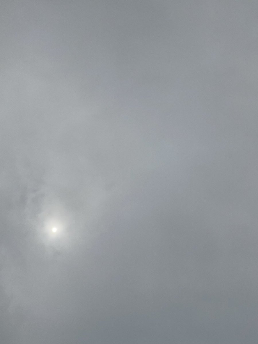 行くんだ！
いつでも夢見たい
いまが消えないうちに夢見たい
転んじゃっても起きあがり　笑っちゃえ
行くんだ！
いつまでだって変わらない
熱さ届けたいよ
僕らのこころ重なってく
夢をえがいて　ときめきながら繋がろう

Dream Believers　I believe!

#蓮ノ空4th102期卒業公演Day2
#蓮ノ空 #リンクラ