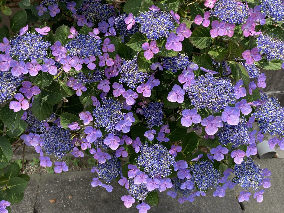 ugachanblog's tweet image. 皆さん こんにちは
蒸し暑いですね
そろそろ梅雨入りしそう
水分補給しながらお身体に気をつけて
お過ごしください🍀✨
朝ジムに行きウォーキング🚶♀️
気持ちもスッキリ
両親に頼まれたお中元を名駅で済ませ
栄にて散策中😊
帰って簿記勉 予算管理
ふくしままさゆき先生の動画
本当に助かります😃