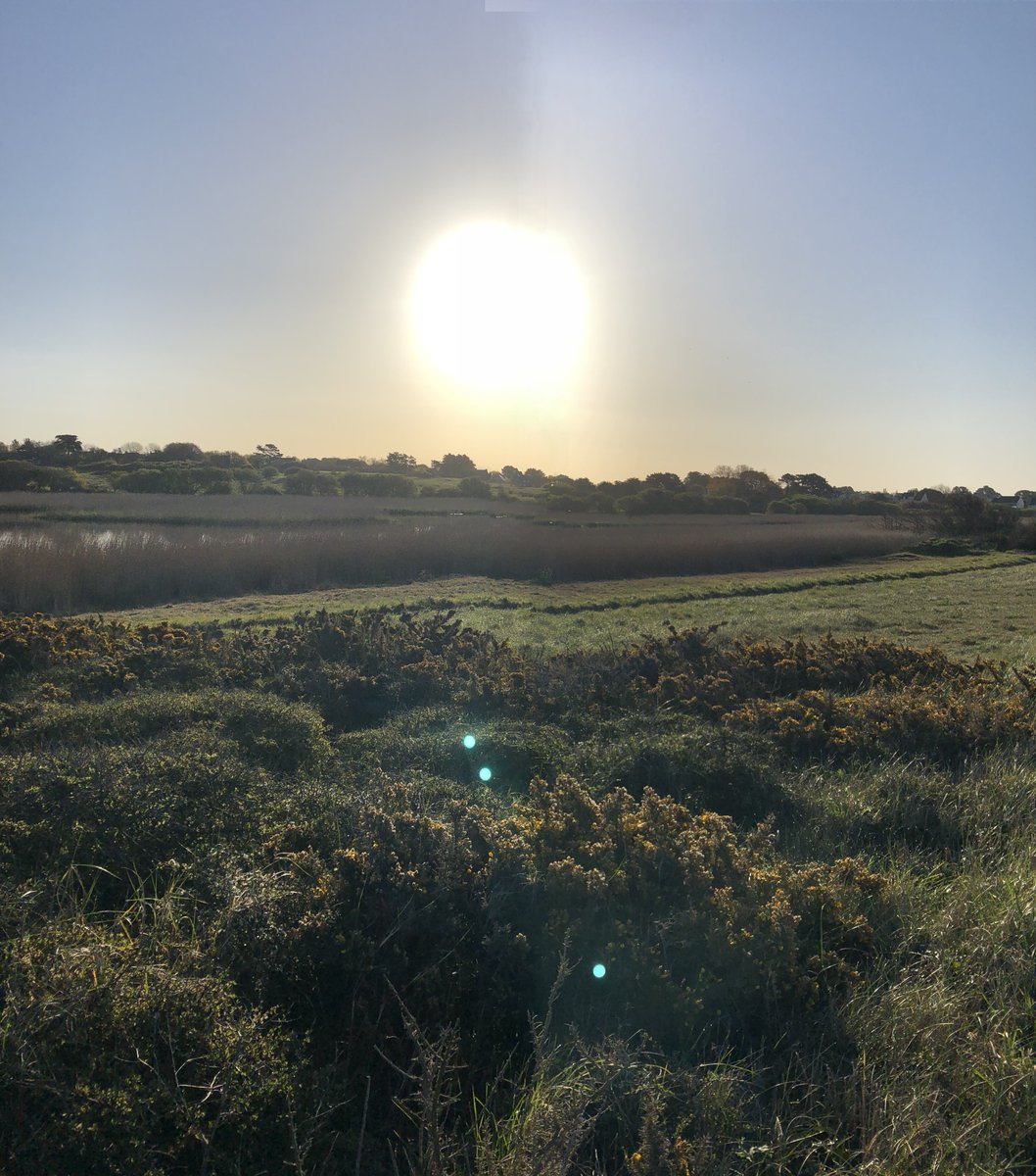 xchrisylx's tweet photo. @Sgt_Lazo @GigaBuds_ @grass @grassfdn WOW !!! So happy Sergeant !!! They'll directly go to my #OxChain stacking area which will continue growing !!!
A beautiful day to touch Grass there...
You're welcome whenever you want ! https://t.co/FZgP8UDE2d