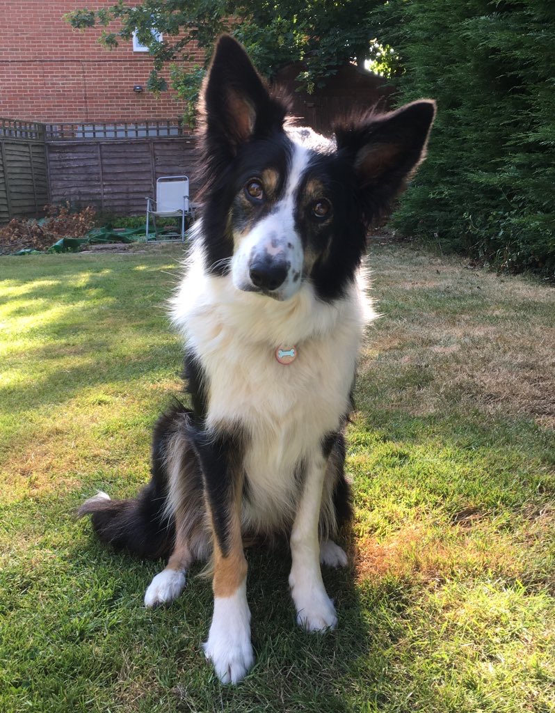 Good morning from 2020 😘