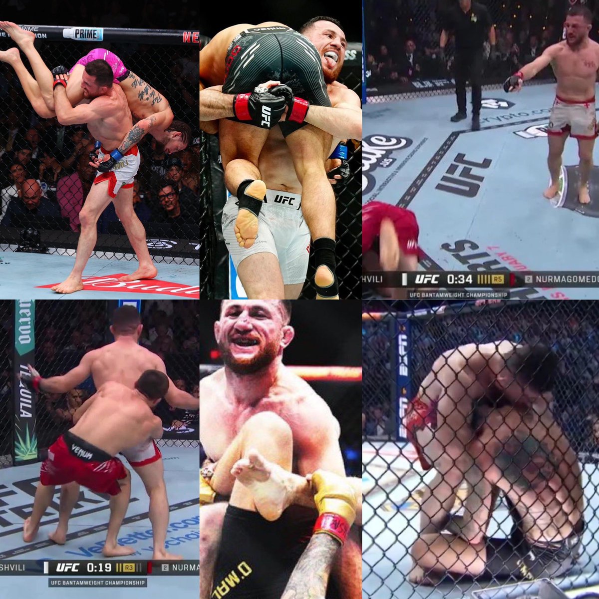 ACD MMA tweet media