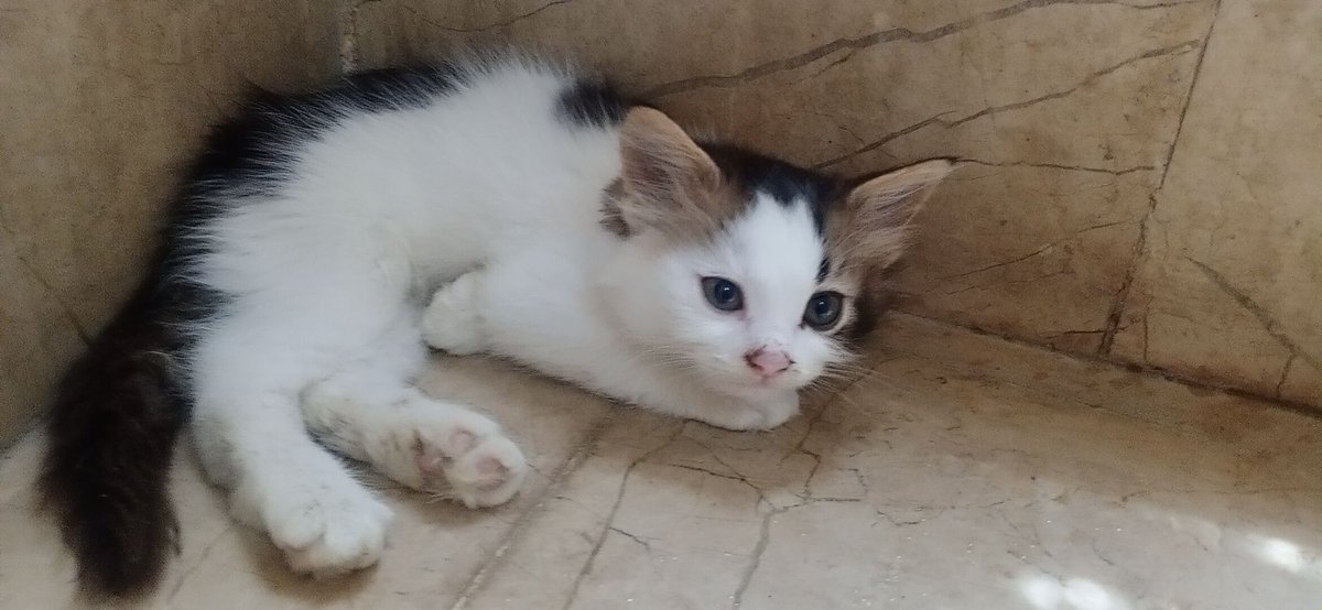 I am afraid!  Why are my friends not responding to my posts?