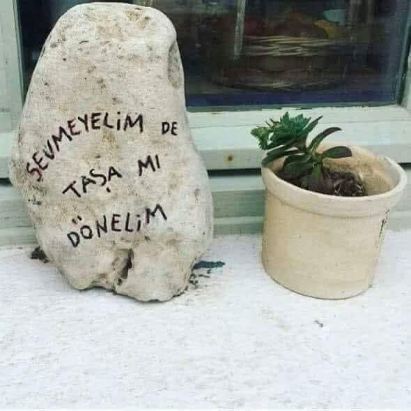 Günaydın en güzel dileklerle...🌸
#Sevgiyle 
#Huzurla 
#Umutla 
#ÇocuklarHepGülsünDiye