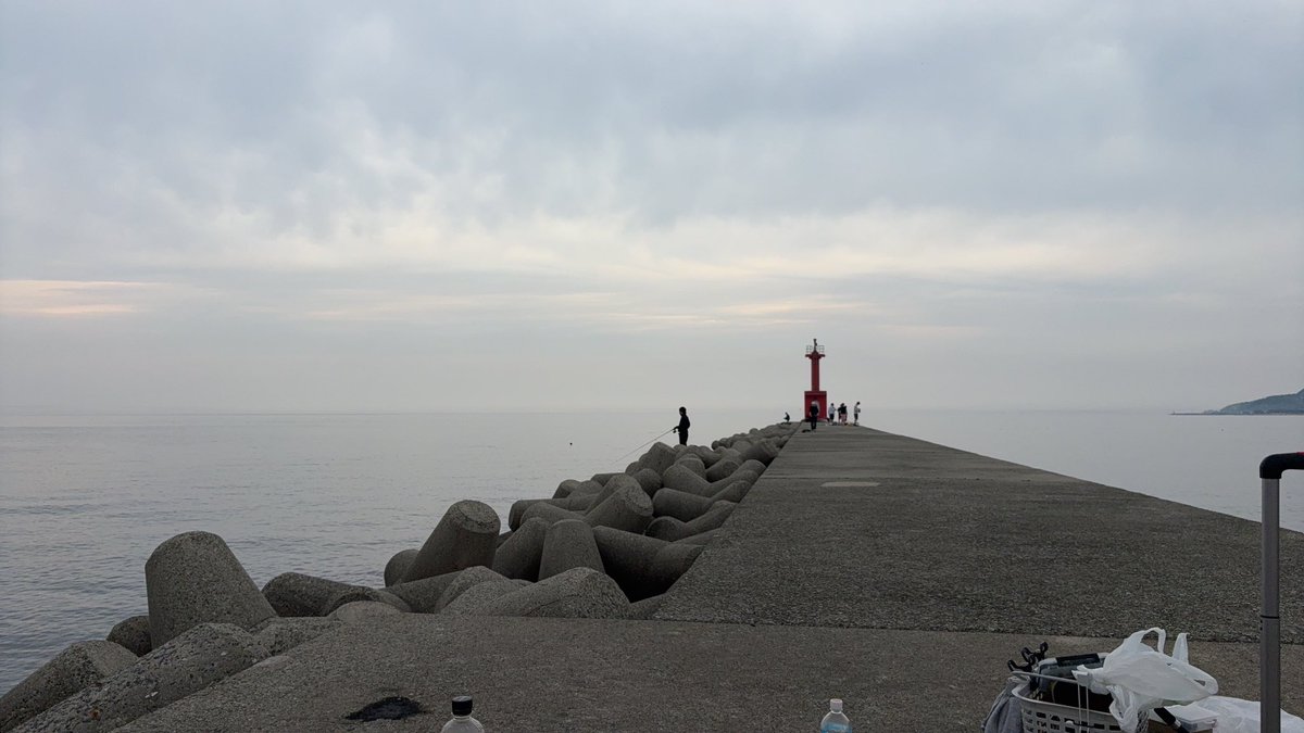 Rさん@趣味垢 tweet media