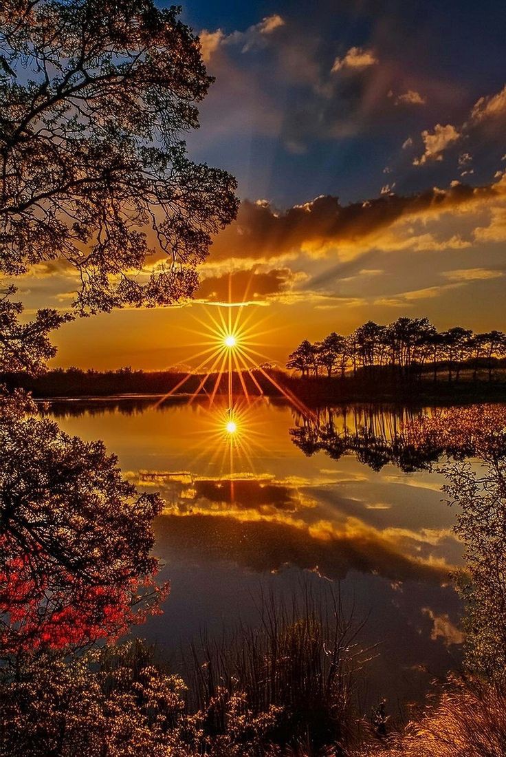 Xenia (@mubeen477) on Twitter photo 