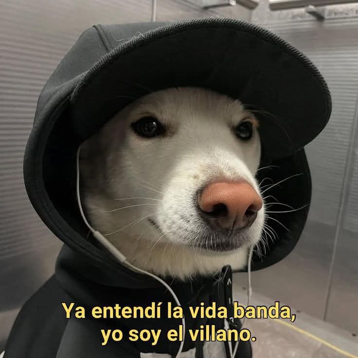 Lonely🥀 (@angelo_uf) on Twitter photo 