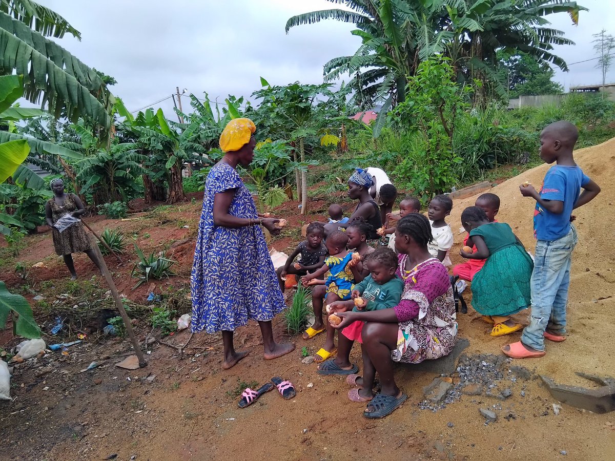 WICCA: Agroecology Implementation Project Nkolanga'a Yaounde 

Creat a chemical free vegetable garden with women from the local community. 

Planting cabbage,  tomatoe, spices and other protein rich légumes.

To guarantee food safety and sufficiency 
@
AEF
INADES
ANOCC
MBOSCUDA