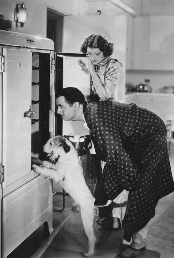 What do you think Nick and Nora (and Asta) find in this morning's fridge?