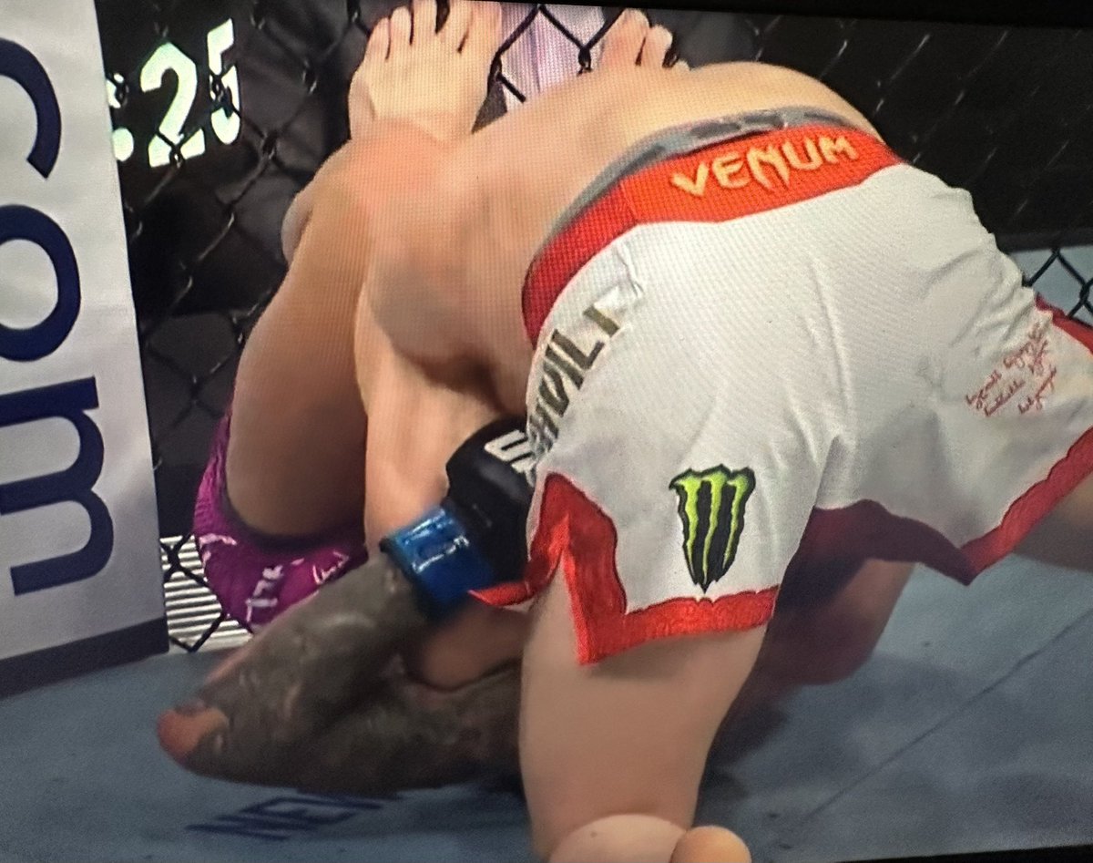 TheCosbury's tweet photo. I guess it was a different fight this time because Sean tapped this time 

#UFC316 #UFC #MMA https://t.co/qF8MWuFhkl