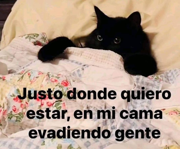 En Júpiter (@en_jupiter_) on Twitter photo 