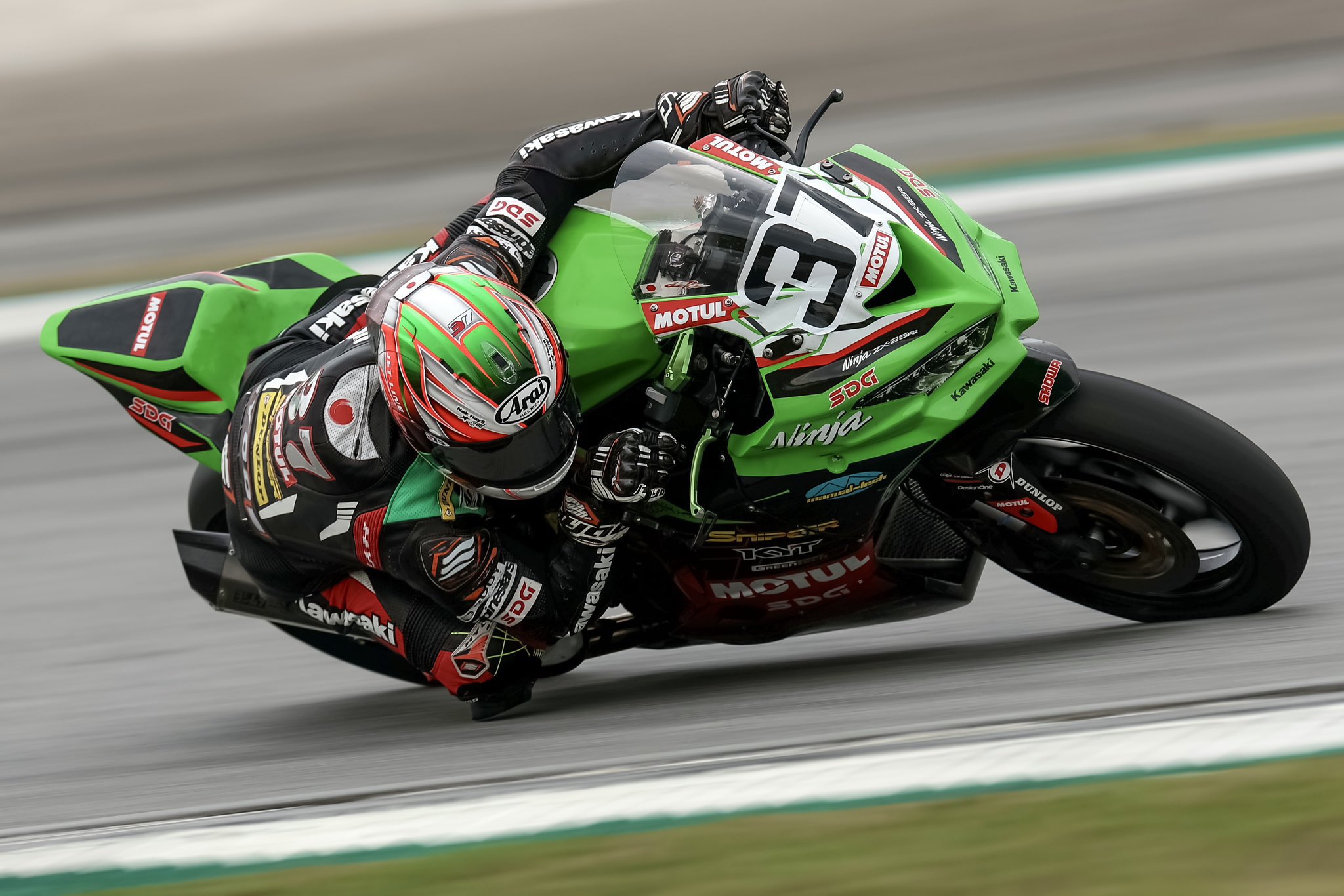 新品即納】[MDL]1/12 完成品バイクシリーズ KAWASAKI Ninja ZX