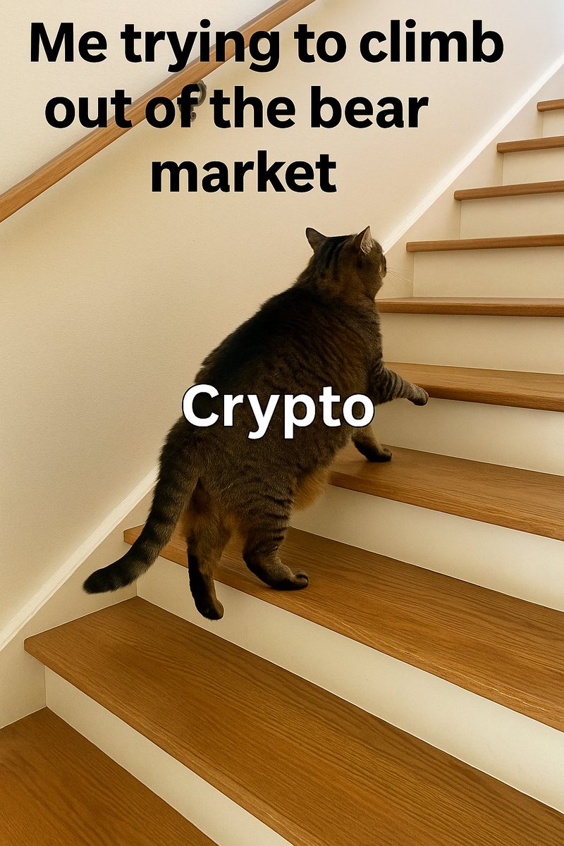 MeowlandsNFT's tweet photo. How you fell rn guys? #BearMarket #CryptoStruggle #Web3Humor #ClimbingBack #CryptoMeme https://t.co/EJWT37Aotn