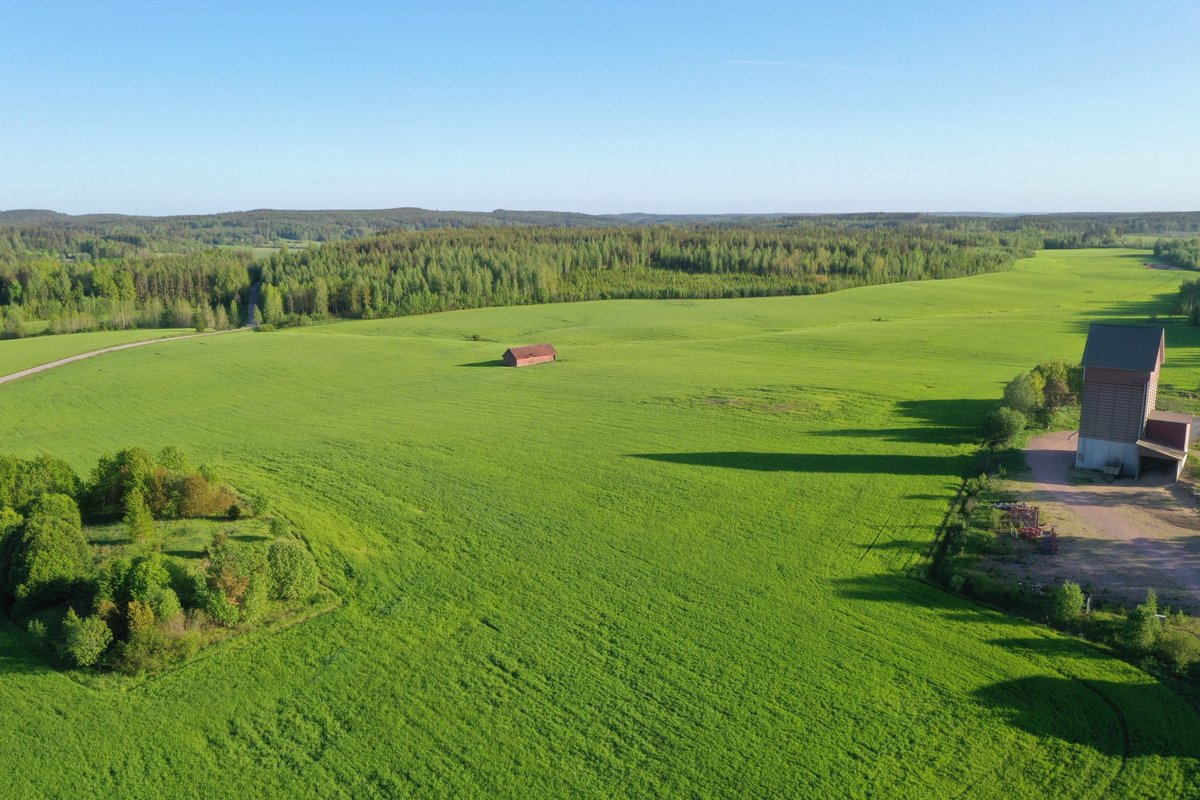 Organic spelt field @ Birkkala Suomusjärvi,Finland

birkkala.fi

#export #foodingredients #organic #spelt
#dinkel #stonegroundflours #bio #speltti #luomu