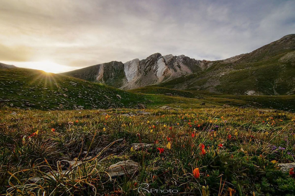 Ahir una de les coses que més il·lusió em va fer, a part de retrobar-me amb els isards, va ser veure una de les meves fotos decorant el menjador del  <a href="/RefugiUlldeter/">Refugi Ulldeter.oficial</a> .