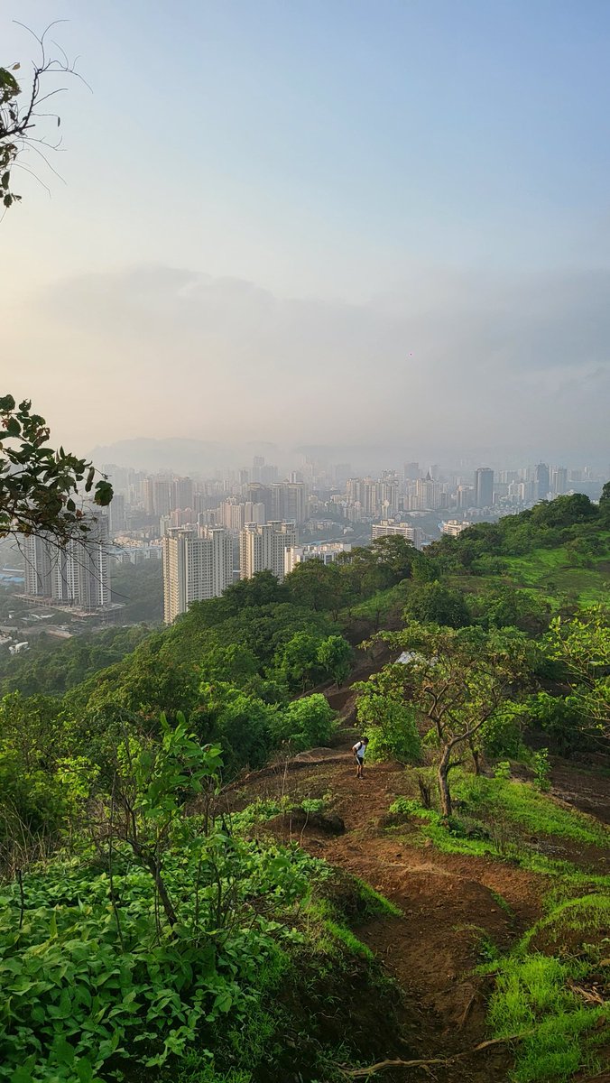 Thane Woke Up Like This!
Golden rays kissed Yeoor Hills as the forest whispered awake. City below, wild above - raw serenity on fire.

Yeoor Hills | Thane
Grateful for mornings that remind us: we live in paradise.