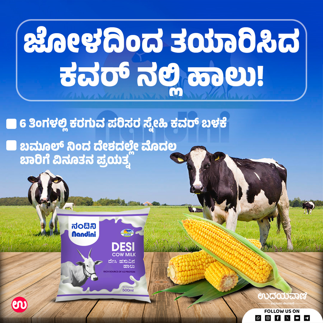 udayavani_web's tweet image. ಜೋಳದಿಂದ ತಯಾರಿಸಿದ ಕವರ್‌ನಲ್ಲಿ ಹಾಲು: 6ತಿಂಗಳಲ್ಲಿ ಕರಗುವ ಪರಿಸರಸ್ನೇಹಿ ಕವರ್‌ ಬಳಕೆ :- uvnews.in/ftlvk2h

#Udayavani #bamul #DKSuresh #corn #ecofriendly #milkpackets