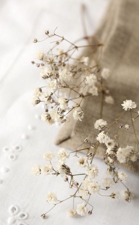 새마당 (@saemadang) on Twitter photo 