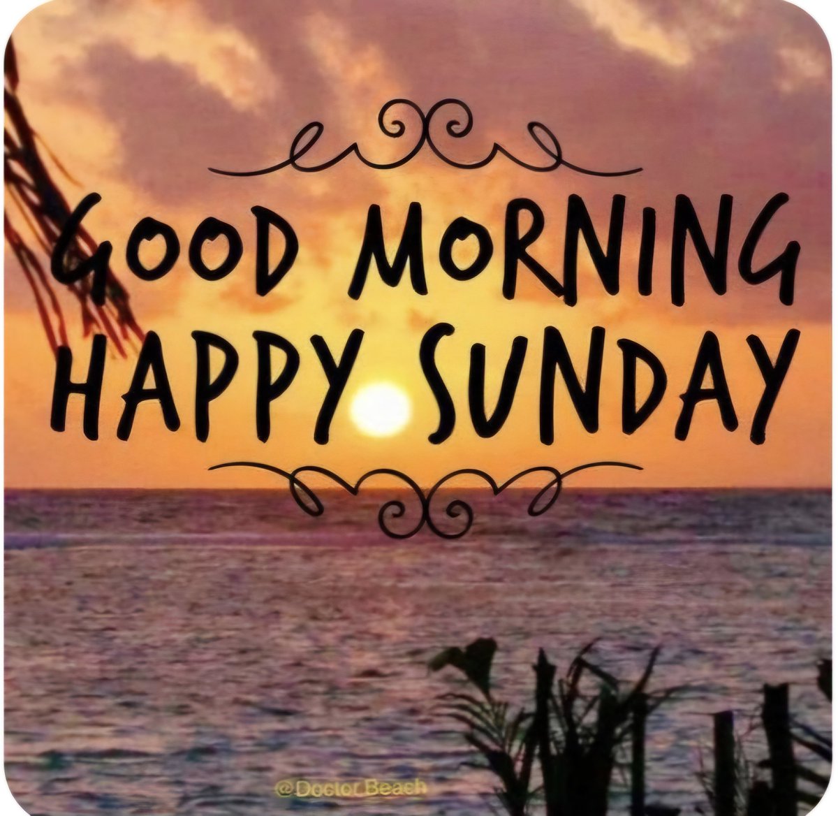 Terryll Jordaan (@beachbabynorth) on Twitter photo 