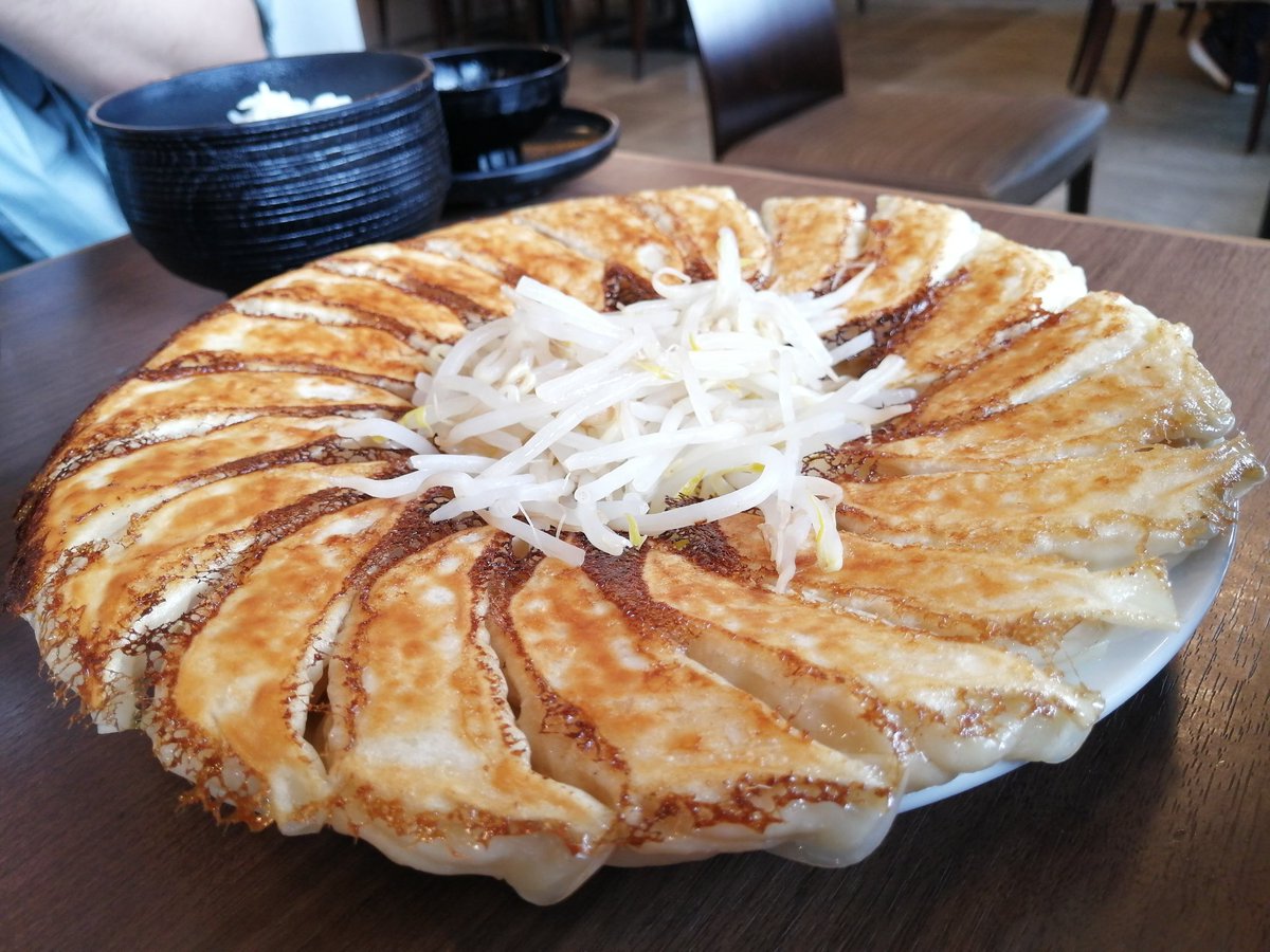 昼飯は浜松餃子！