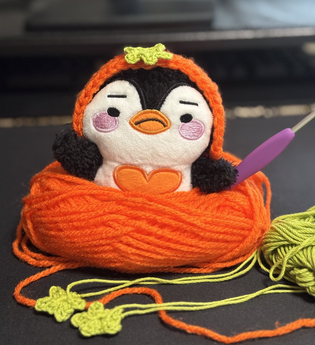 オレンジ族 - Search / X