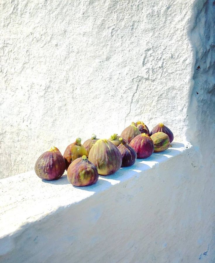 ... Che faccio, lascio ? ... (@lascioche) on Twitter photo 