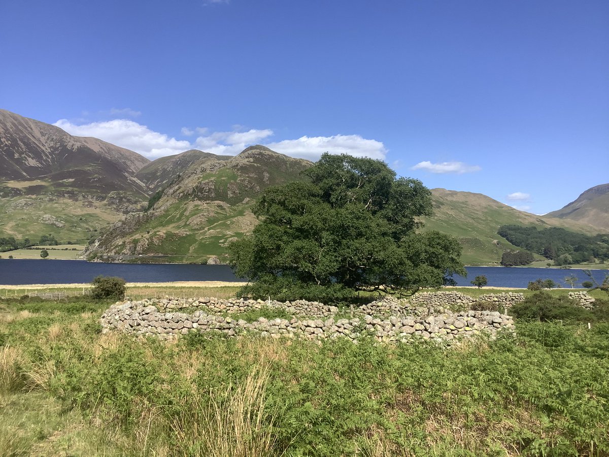 ceadela's tweet photo. @tutty352 @Soapy_Wit_Tank @tismenic70 @LordOrk @LakesStiles @CharlesBewley2 @LansdellMum @RuthRendell1 @Yeti98_ Sheepfold by Crummock Water #recentarchive https://t.co/jPAsy70ThG