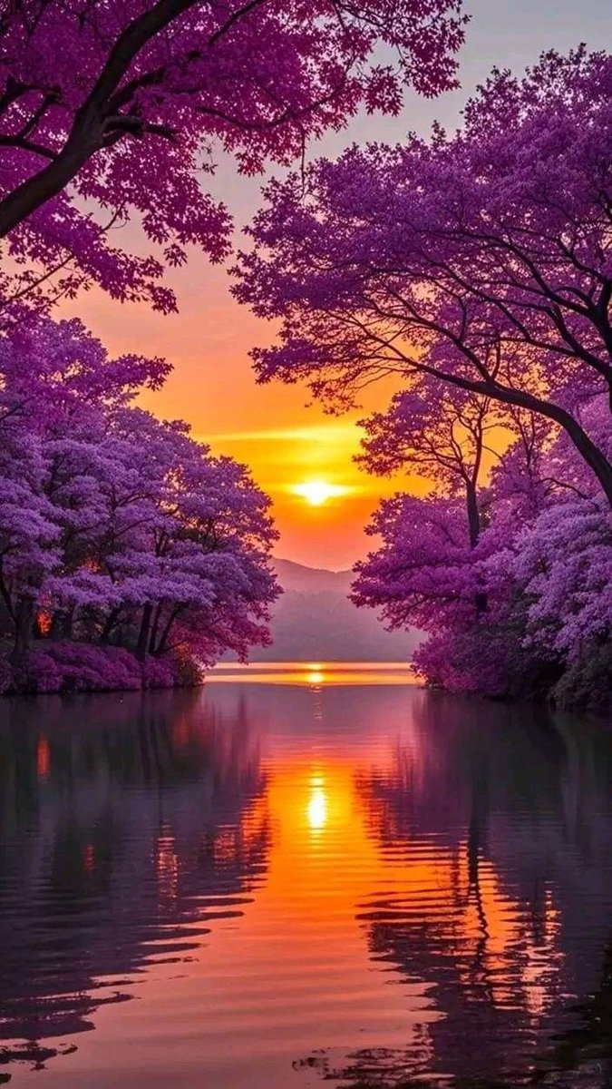 Xenia (@mubeen477) on Twitter photo 