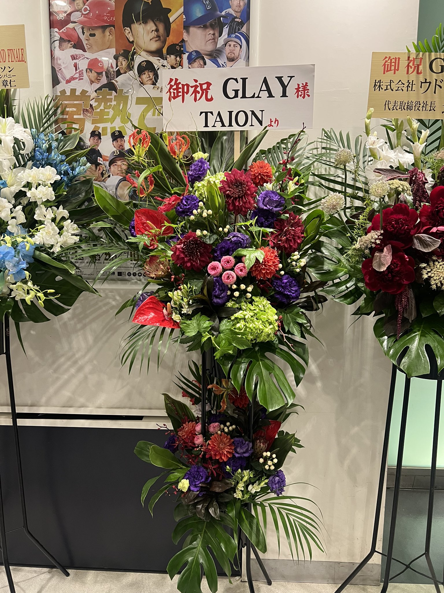 【早い者勝ち•特別セット】会場限定 GLAY EXPO京セラドーム ガーランド ドームツアー「GLAY 30th Anniversary GLAY EXPO 2024-2025