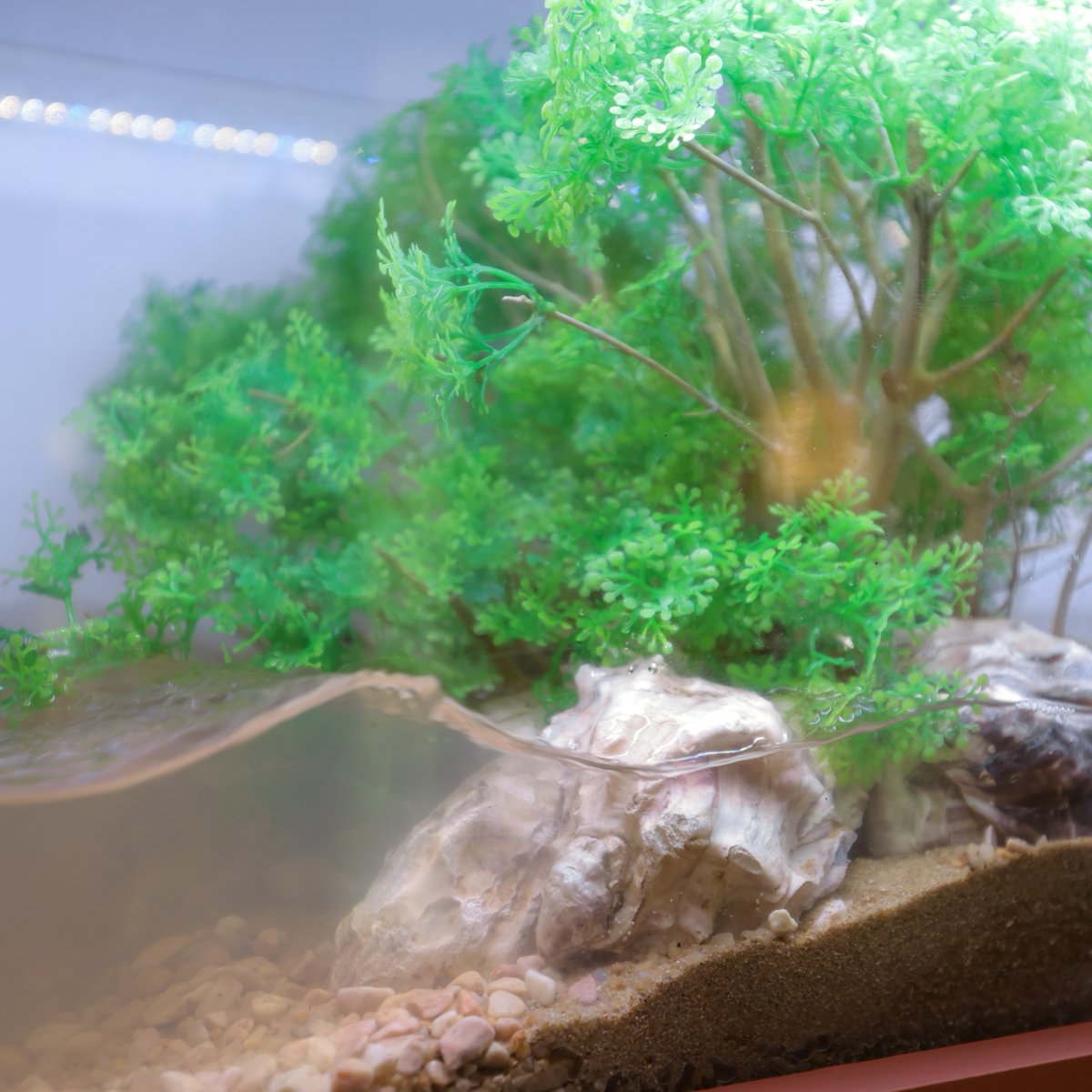 🌊 #FinalCall Explore the hidden wonders of Hong Kong’s marine past, at The Nature Conservancy in Hong Kong's exhibition, ‘Reviving Hong Kong's Ocean Heritage: Our Forgotten Oyster Reefs’ a tPacific Place (near Shiro) till June 11. 🦪✨