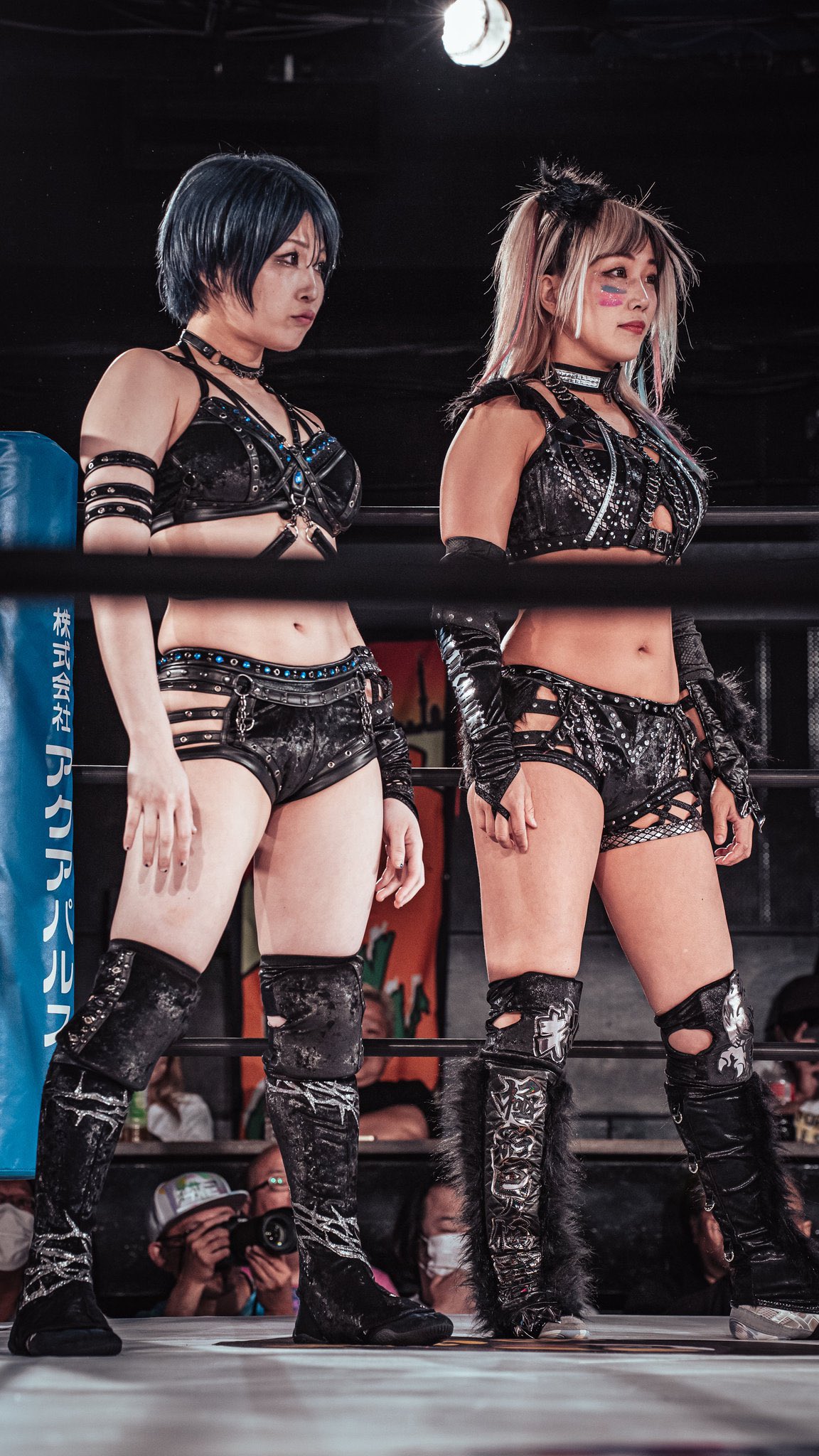 ウナギ・サヤカ🐯🦊🦖unagi sayaka on X: 