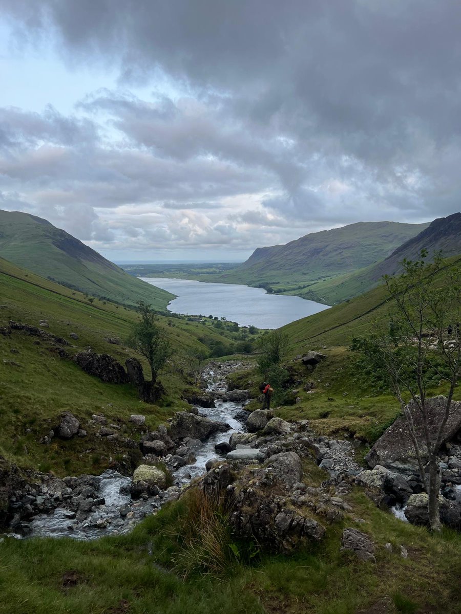 Eleanor Alyce Crook (BAHons) 💙 tweet media