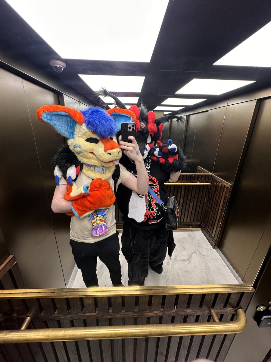 I had such a fun time at fantasy con Scotland with <a href="/HoundySharp/">Sharp 🏳️‍🌈🏴󠁧󠁢󠁳󠁣󠁴󠁿</a> <3 it was my first con and omgg I loved it so much! also apologies if I bumped into you, it’s my first time suiting in public 🥲 also thank you again to sharp because if I went alone I’d be lost 😭😭