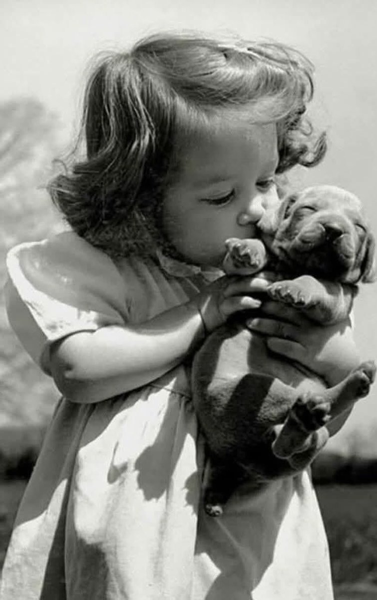 NİLGÜN SOKULLUOĞLU tweet media