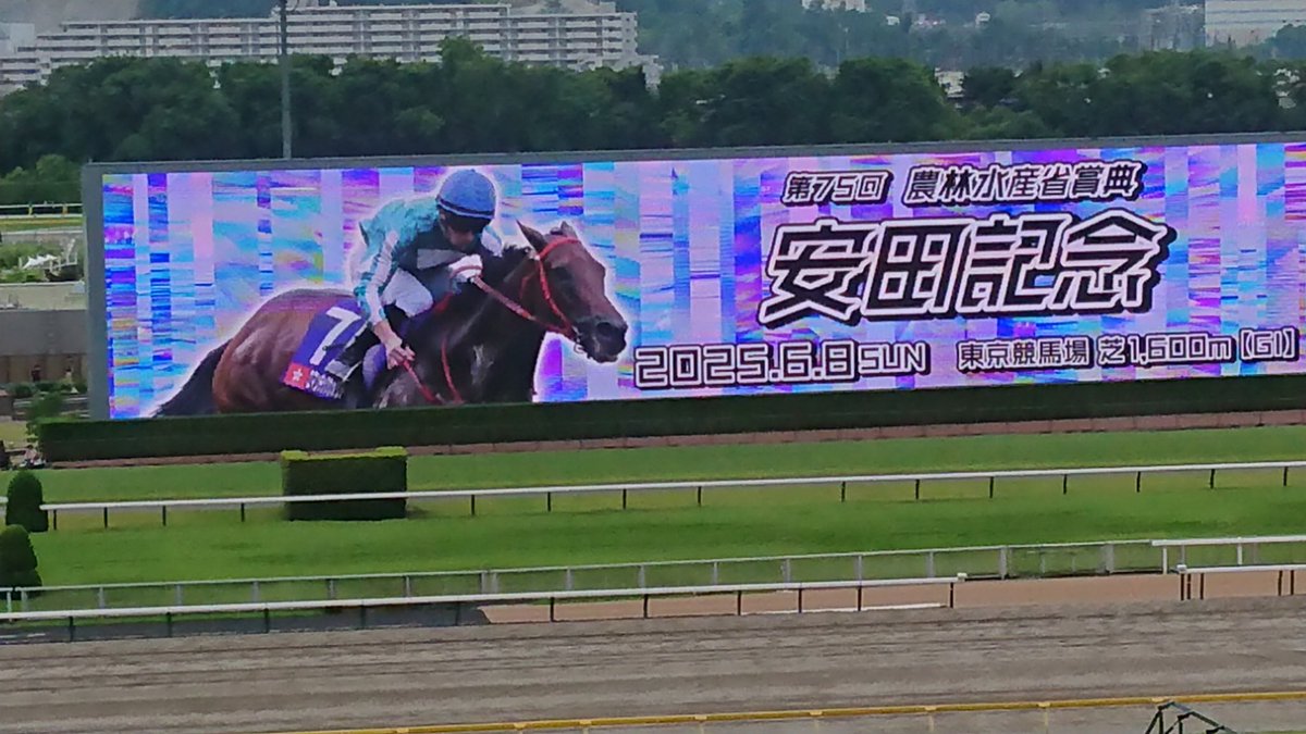 6062Club's tweet photo. 初めて東京競馬場に来ましたよ🎵
これから安田記念
的中させます🐴 https://t.co/WBev2L1qoo